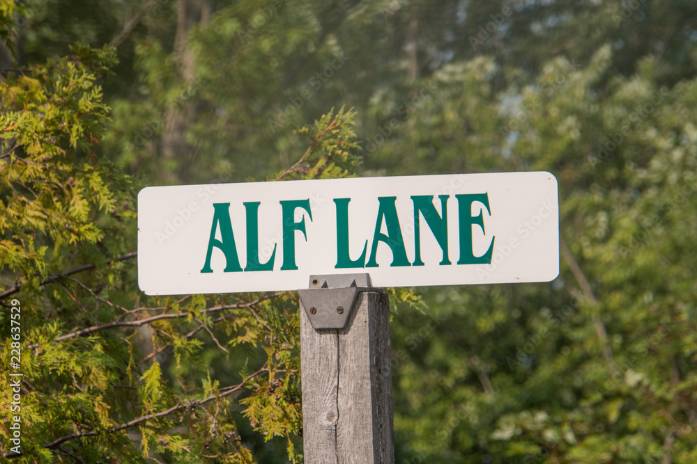 Sign post with Alf LN written on it in front of forest on camping