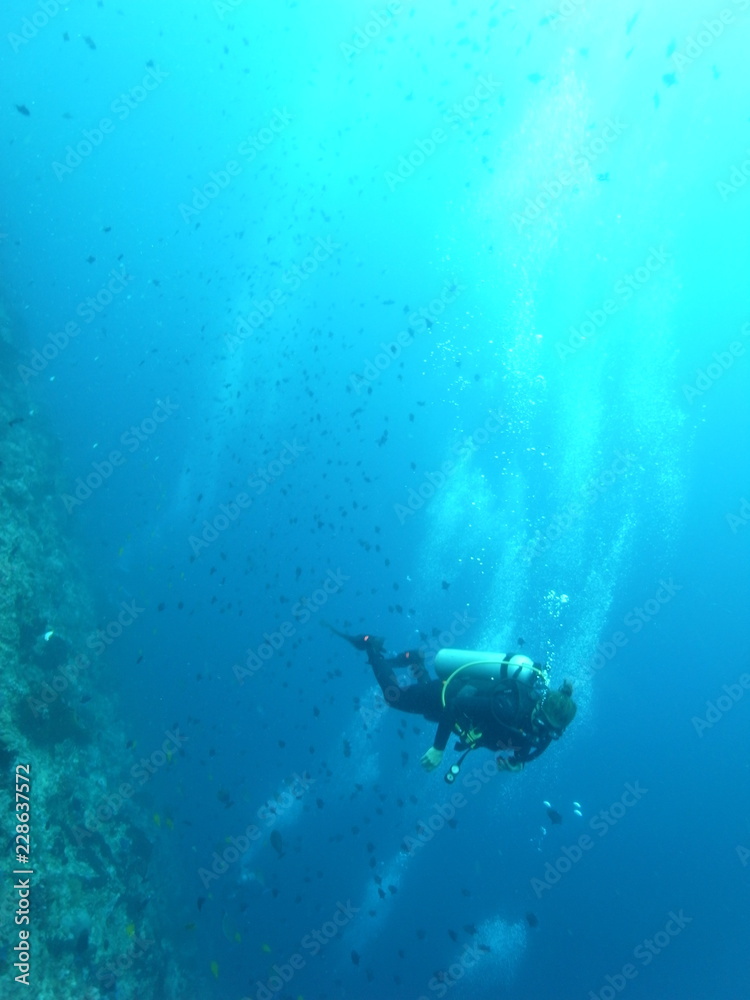 Scuba Diver in Blue Sea  in the Waters of Bunaken Island, Diving Bunaken, Indonesia.