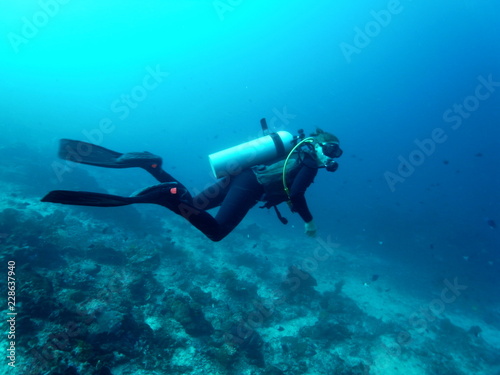 Female Scuba Diver, diving woman in Blue Sea in the Waters of Bunaken Island, Diving Bunaken, Indonesia.