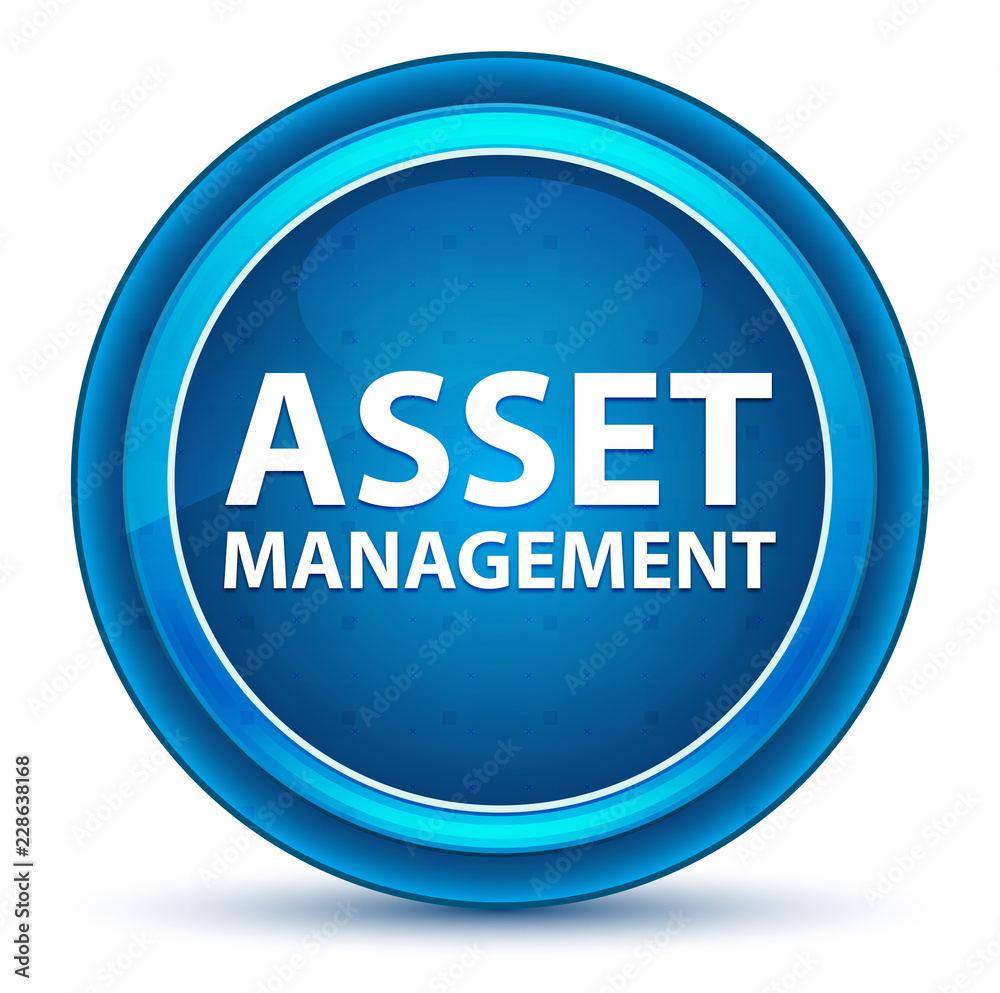Asset Management Eyeball Blue Round Button Asset Management Eyeball Blue Round Button