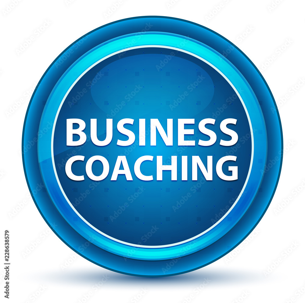 Business Coaching Eyeball Blue Round Button Business Coaching Eyeball Blue Round Button