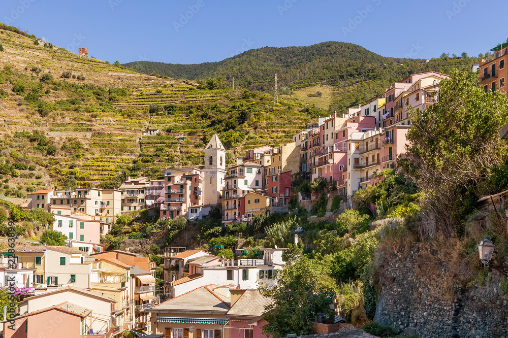 The beautiful and colorful historical center of Manarola, Cinque Terre, Liguria, Italy