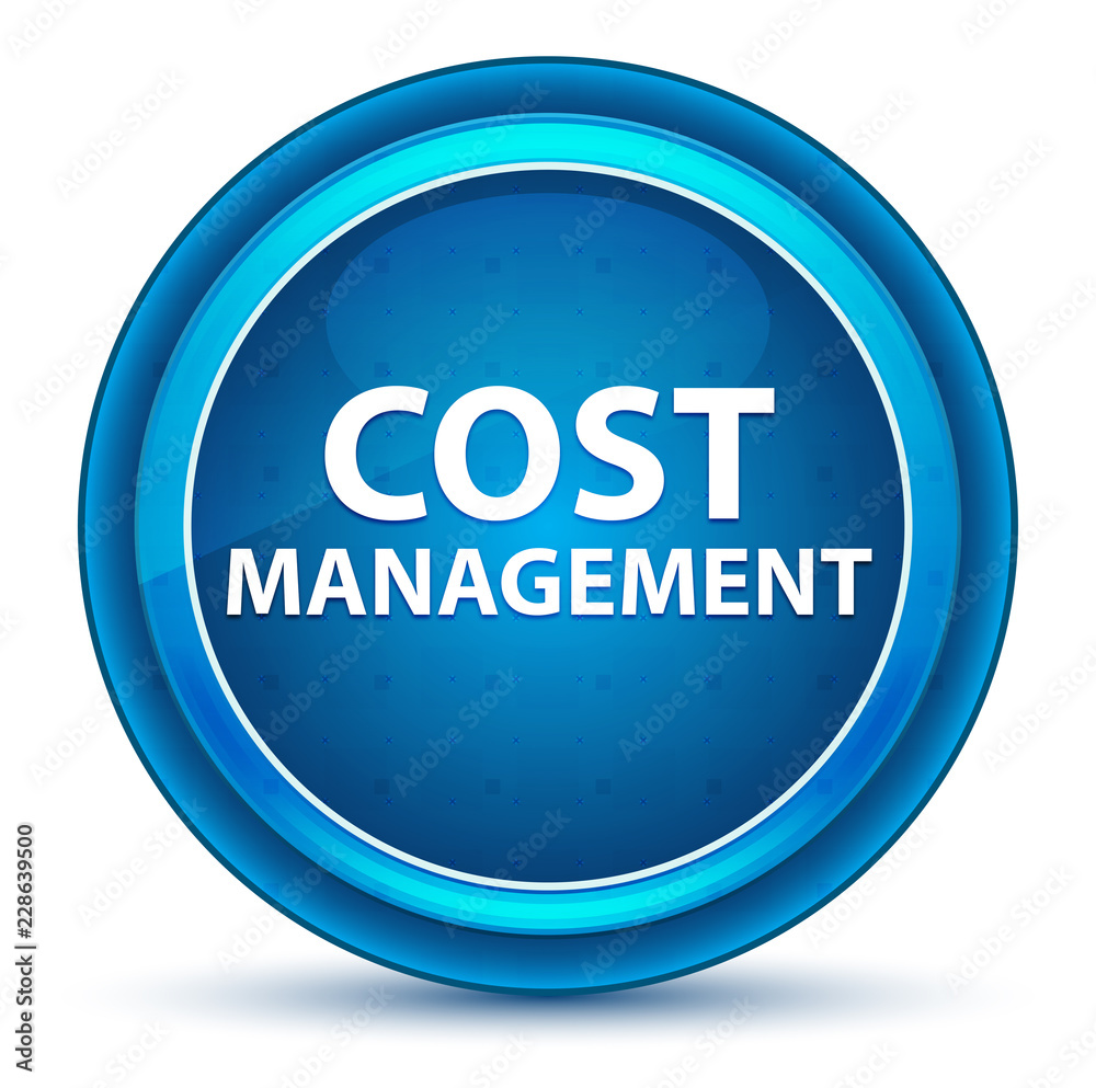 Cost Management Eyeball Blue Round Button Cost Management Eyeball Blue Round Button