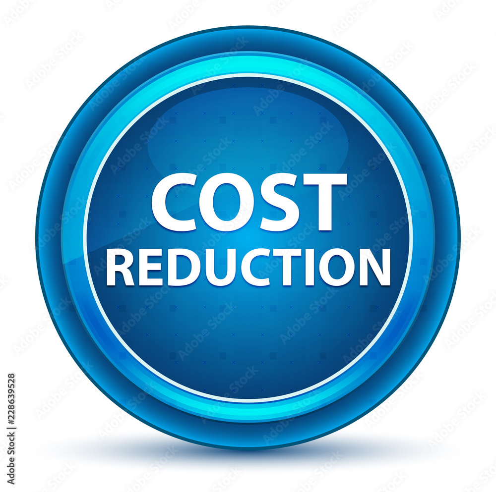 Cost Reduction Eyeball Blue Round Button Cost Reduction Eyeball Blue Round Button