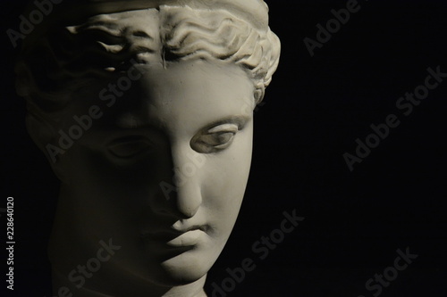 Statue portrait art