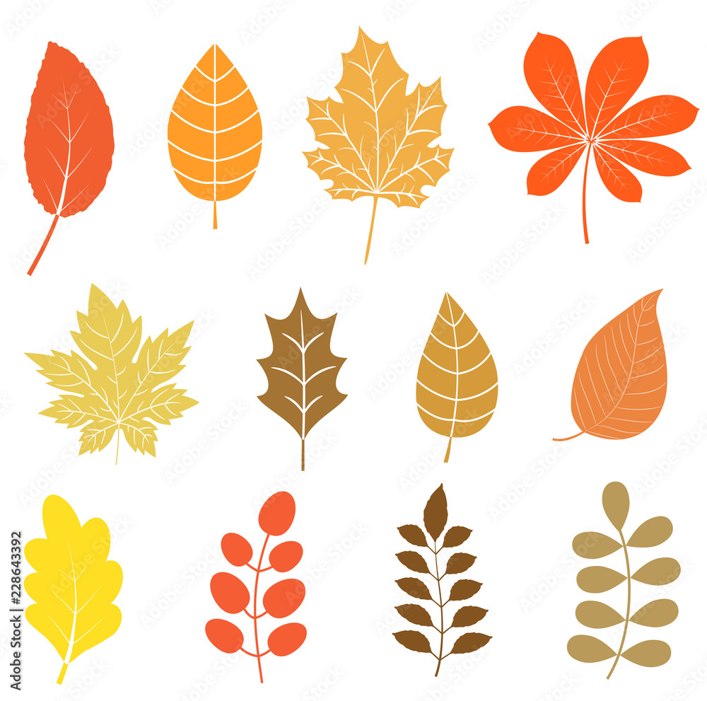 Vector set with autumn leaves in flat style in orange, yellow and brown colors for icons and graphic design