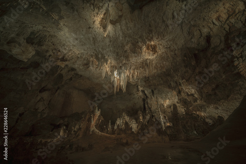 Canvas Print Carlsbad Caverns Stalactites and Stalagmites