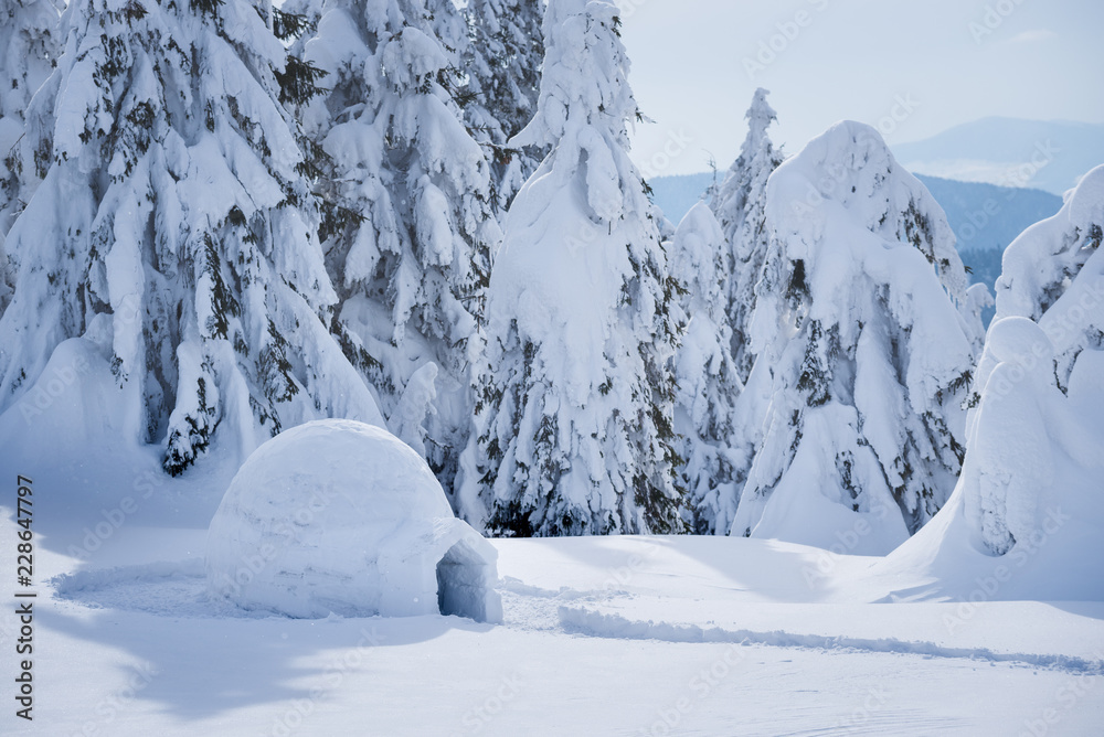 Winter mountain vacations with a snow igloo Winter mountain vacations with a snow igloo