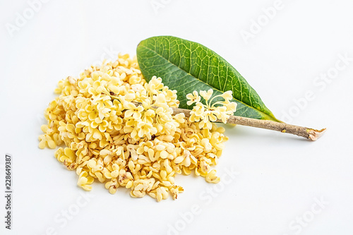 Fresh osmanthus tea picked in autumn