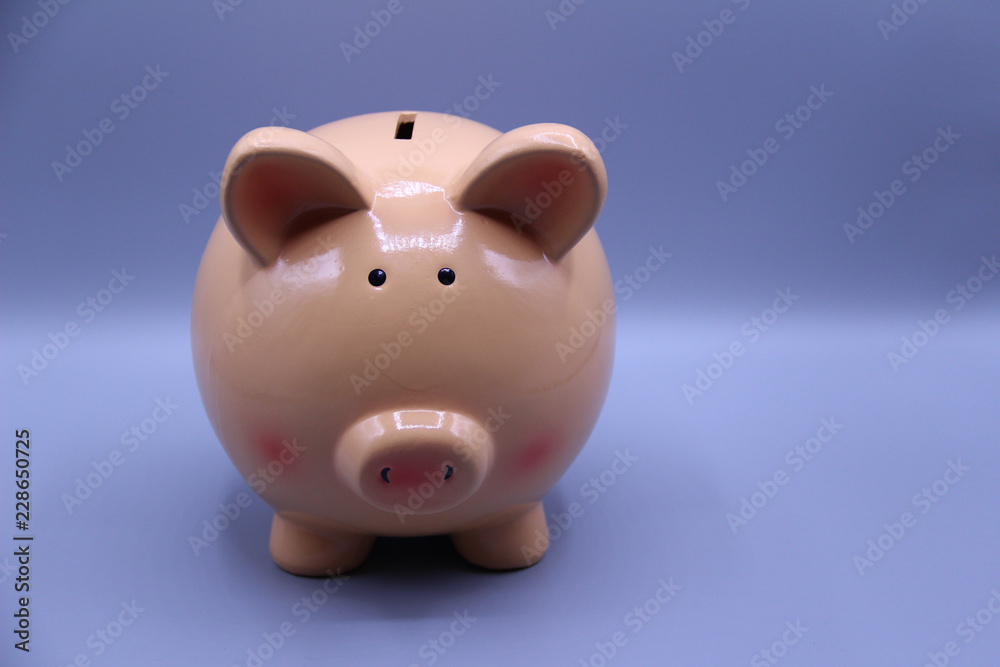 Piggy bank with savings Piggy bank with savings