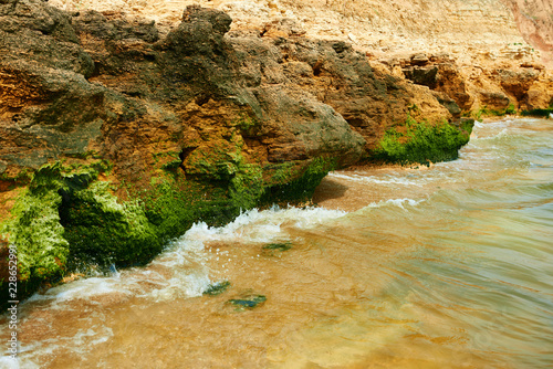 beautiful sea landscape, closeup of stone on the beach, sea coast with high hills, wild nature photo