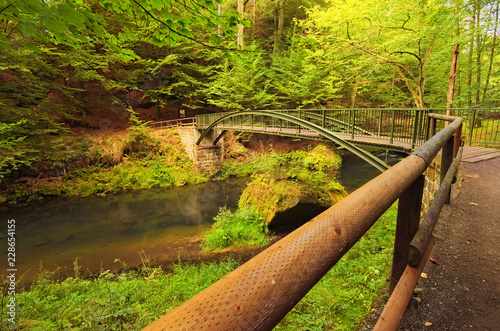 Bridge over flowing Kamenice River in green forest. Hiking trail in Bohemian Switzerland National Park. Touristic place and travel destination in Europe. Hrensko, Czech Republic photo