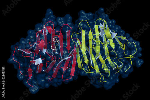 Testosterone-binding globulin is a glycoprotein that binds to sex hormone testosterone, thereby regulating its activity and potential to enter a cell and activate its receptor.