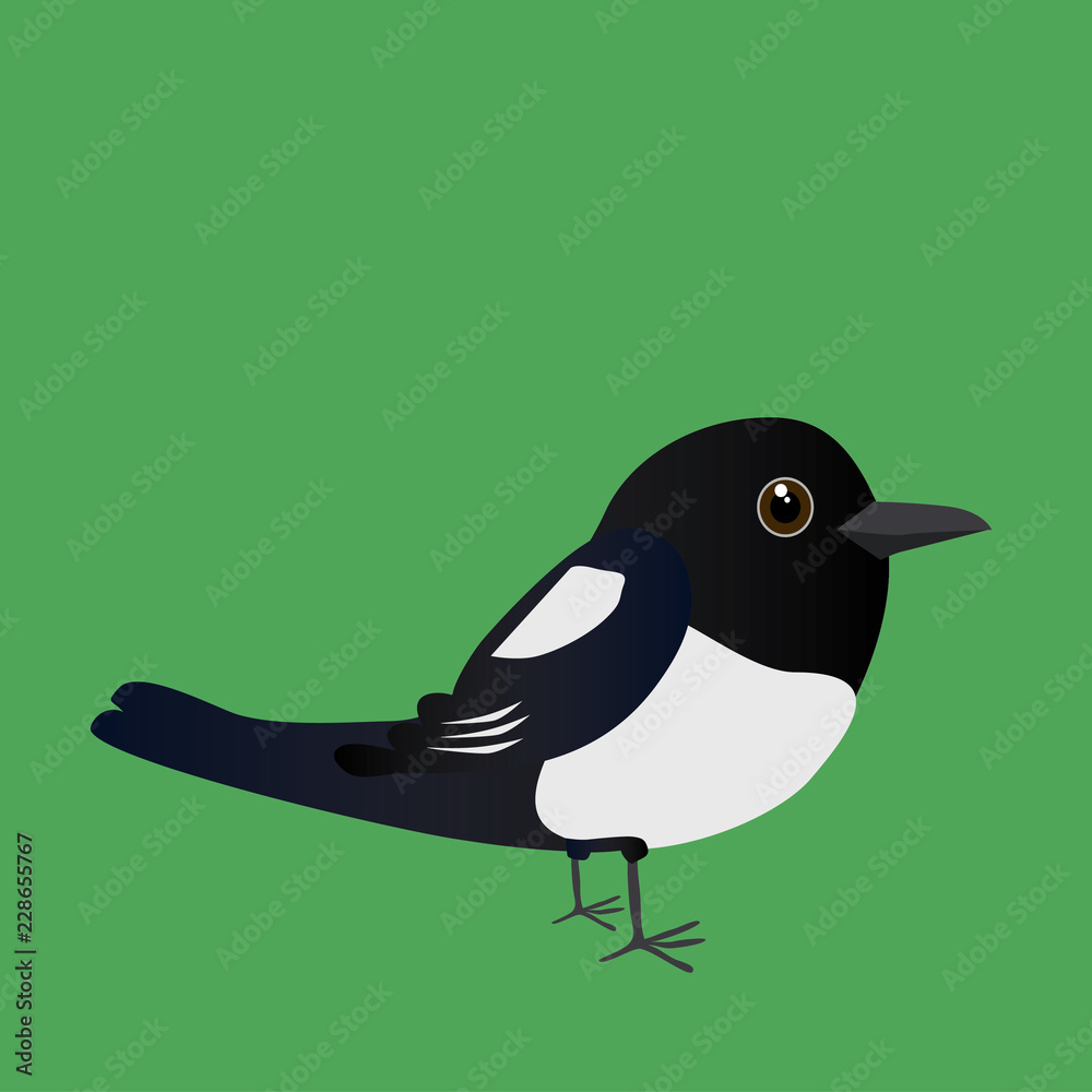 Fototapeta premium An illustration of a cute magpie 