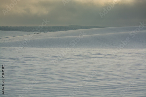 Зимний закатный пейзаж. ОБлачный день. Хмурое настроение. © mikhailava