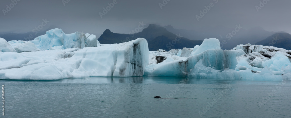 Jokulsarlon (Glacial river lagoon), a large glacial lake on the edge of Vatnajokull National Park in southeast Iceland Jokulsarlon (Glacial river lagoon), a large glacial lake on the edge of Vatnajokull National Park in southeast Iceland