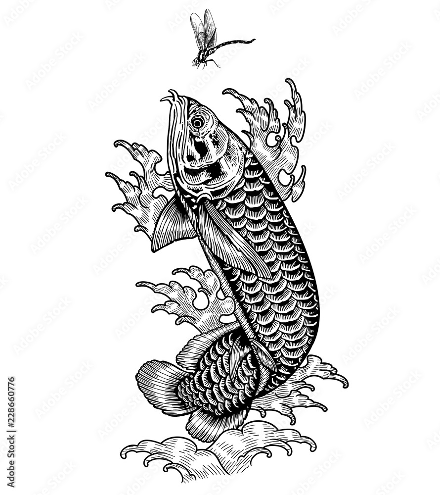 arowana-001-jpg-stock-illustration-adobe-stock