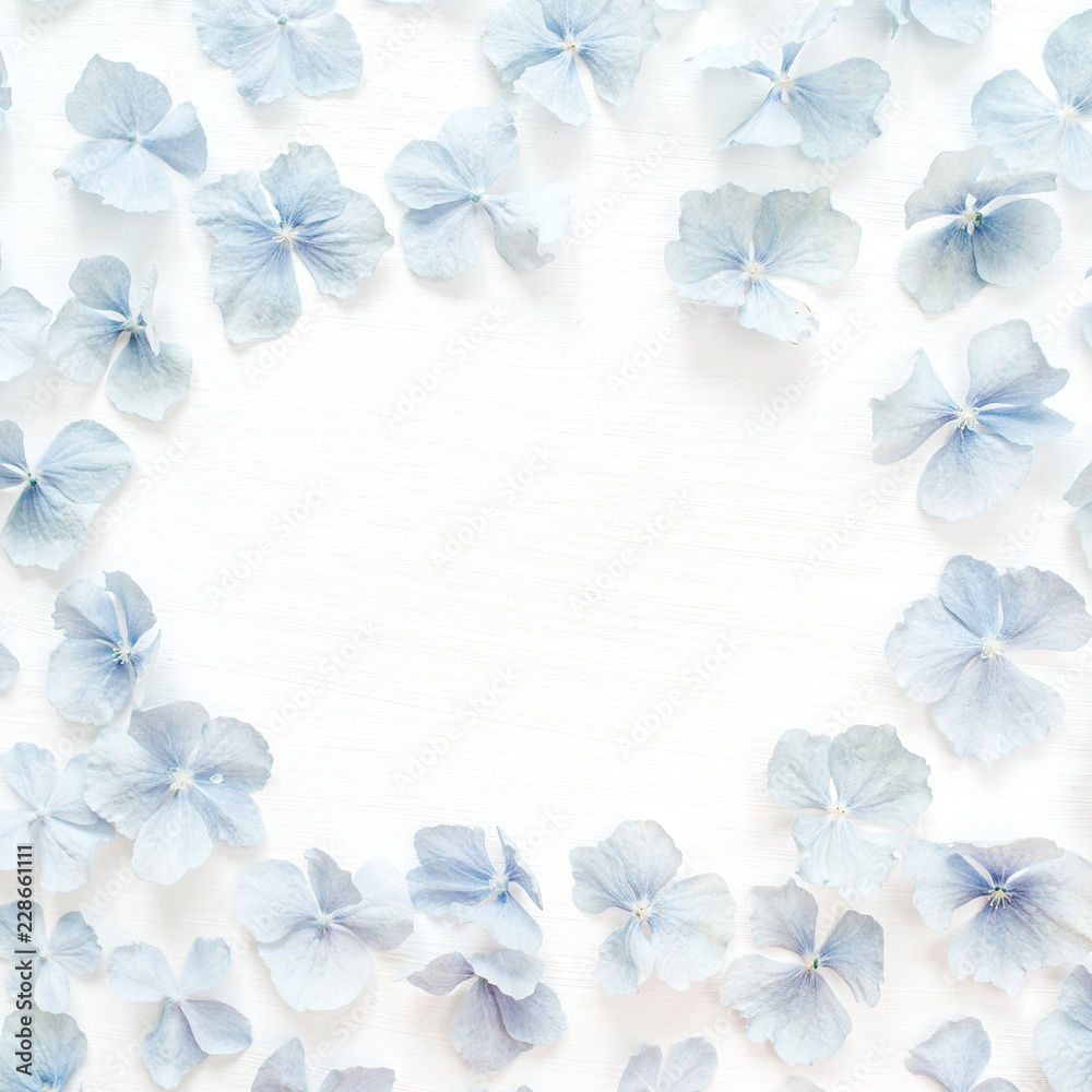 Round frame of hydrangea flower petals. Flat lay, top view mock up.