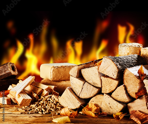Foto Stacked dried logs in front of a burning fire