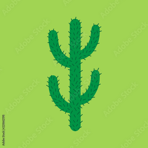 Cute hand drawn cactus vector illustration. Green mexican, desert cactus with spines, isolated on green background.