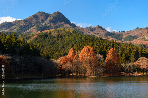赤川ダムから見た古賀志山