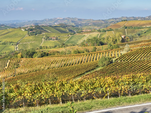 View of the Langhe landscape  a countryside in Piedmont. It s very popular in Italy because of the good wines and food