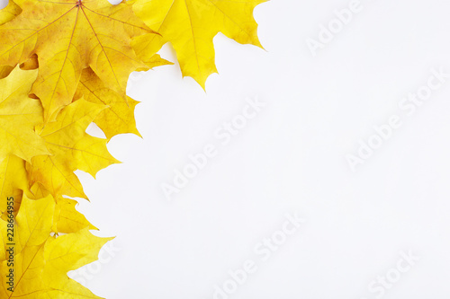 Autumn composition of leaves on a white background. Concept copy space.