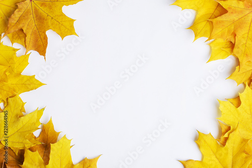 Autumn composition of leaves on a white background. Concept copy space.