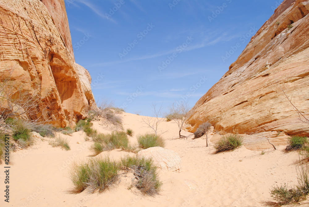 desert