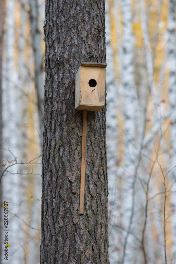 Bird house hanging from the tree with the entrance hole in the shape of a circle in autumn forest Bird house hanging from the tree with the entrance hole in the shape of a circle in autumn forest