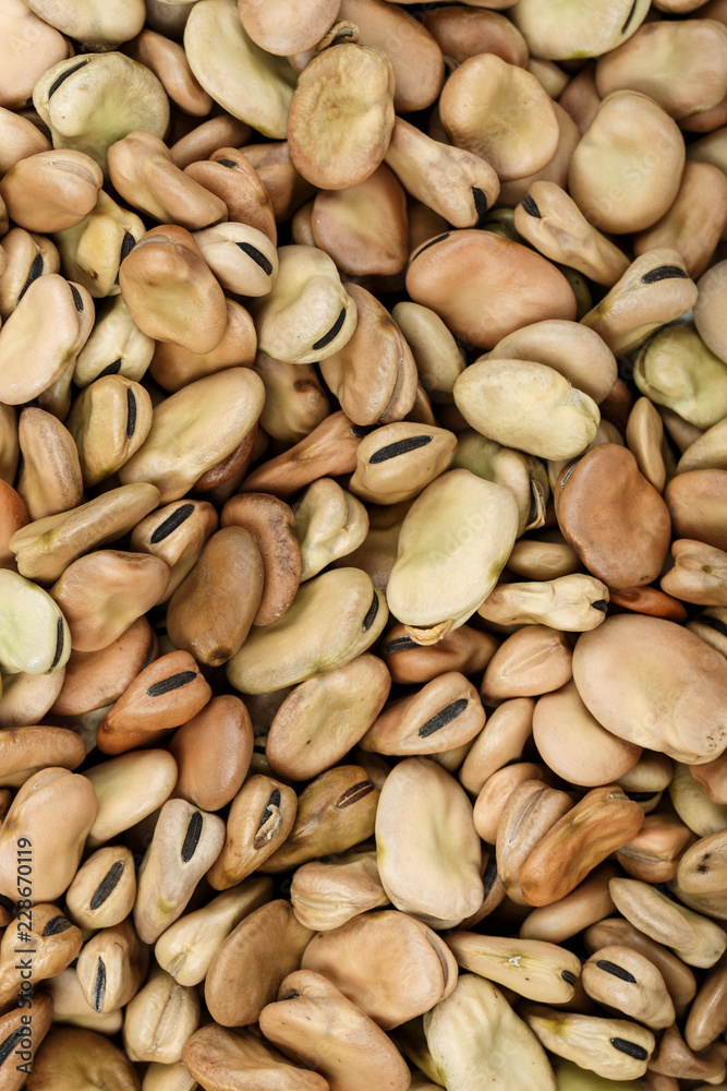 Dried broad beans as a background