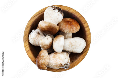 Crop mushrooms mushrooms isolated on white background. place for text. clipping path