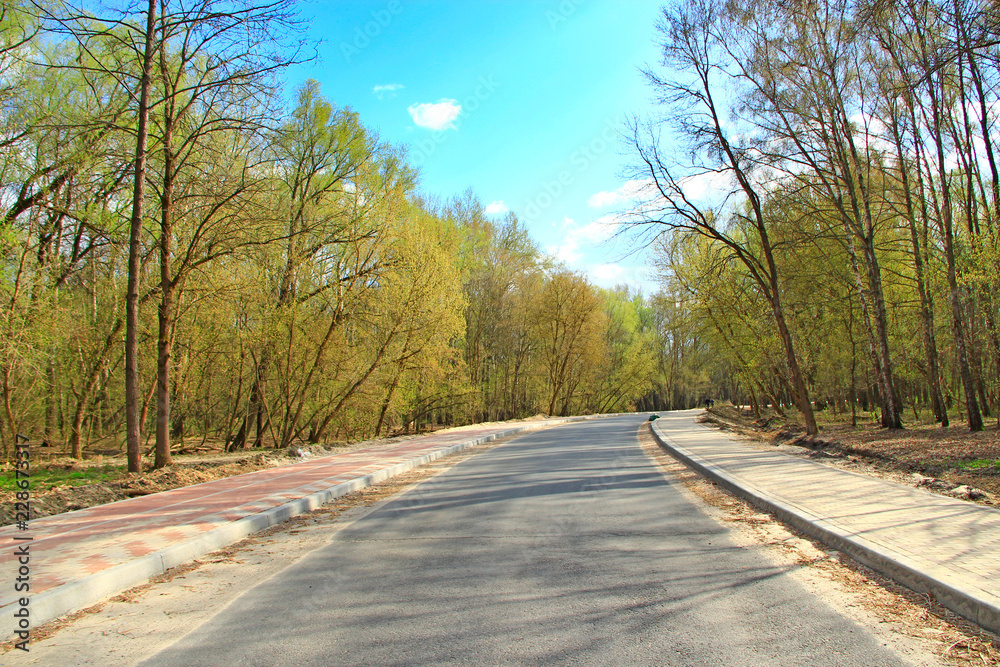 Fototapeta premium Asphalted road with pavement in spring park