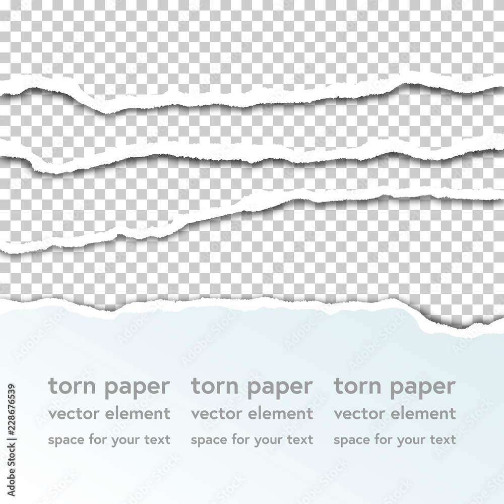 Torn paper edges with shadow on transparent background. Vector realistic ripped paper