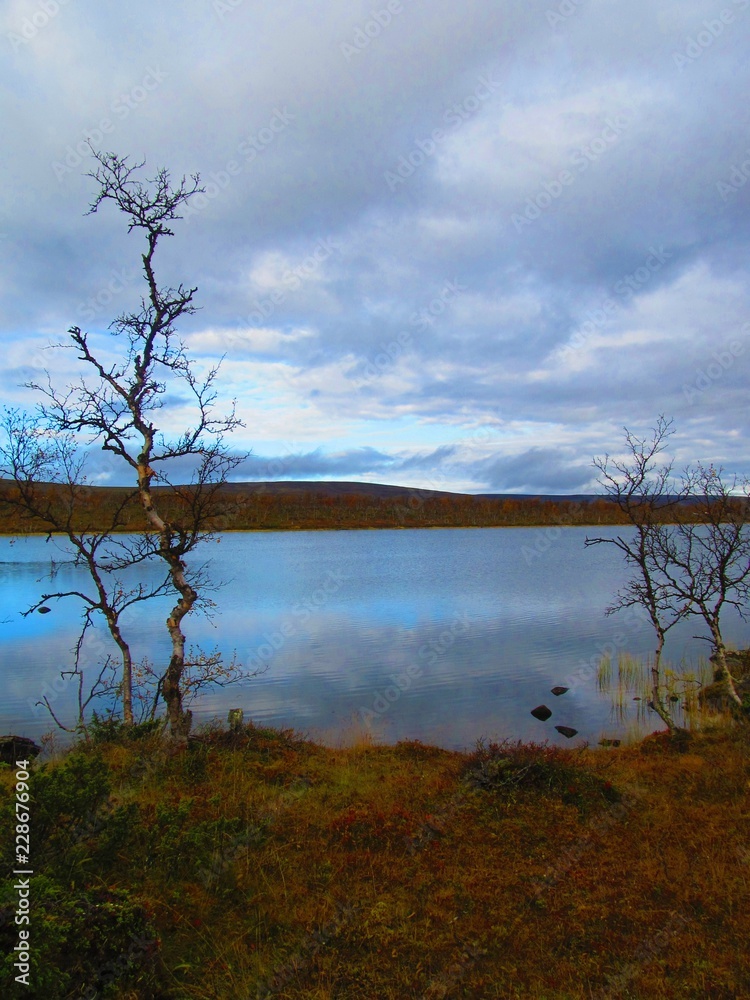 Little lake on top of fell in northern Norway. Fall season. Autumn color, marsh, water Little lake on top of fell in northern Norway. Fall season. Autumn color, marsh, water