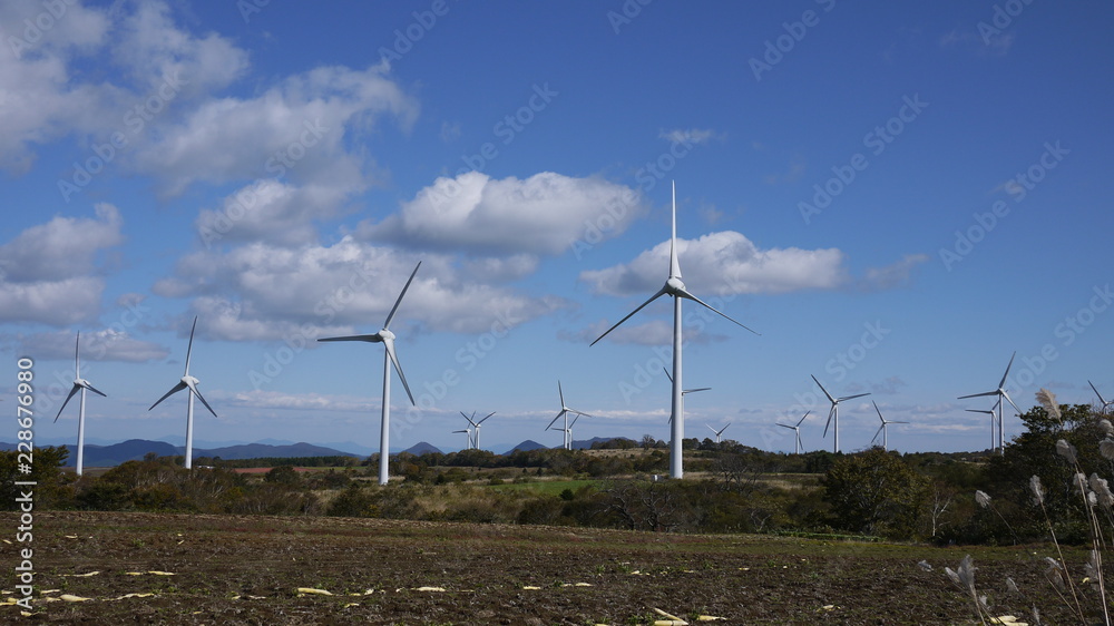 風力発電のある高原