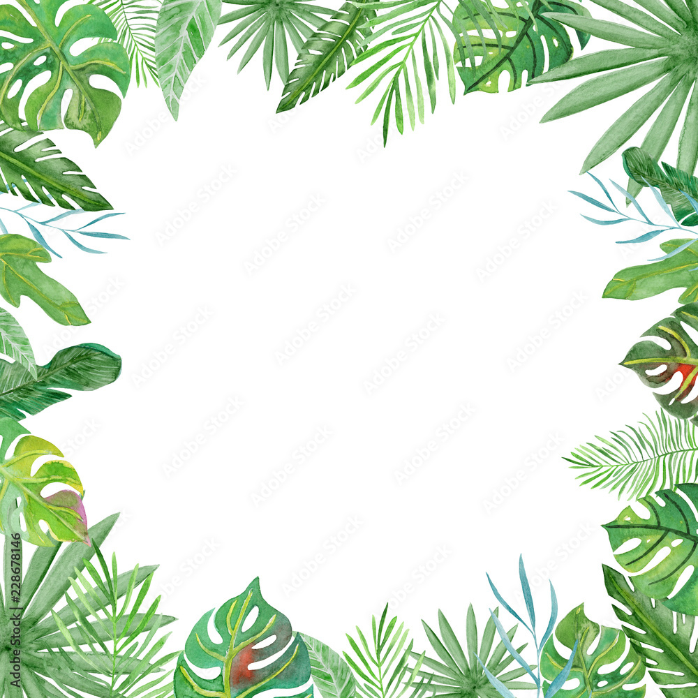 Watercolor frame tropical leaves and branches on white background. Watercolor frame tropical leaves and branches on white background.