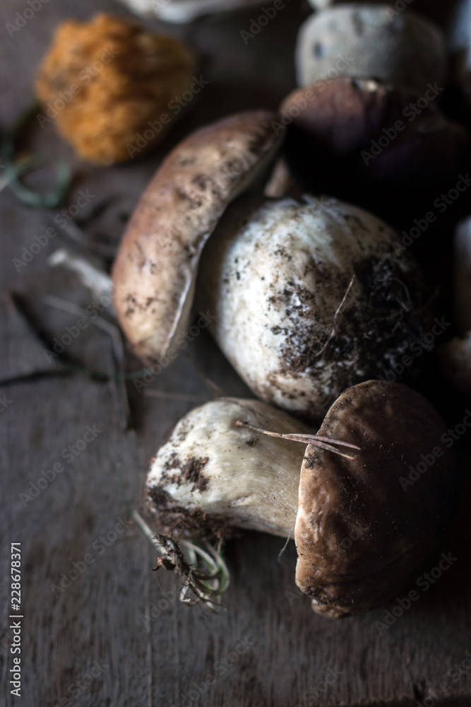 Heap of boletus edulis mushrooms on board Heap of boletus edulis mushrooms on board