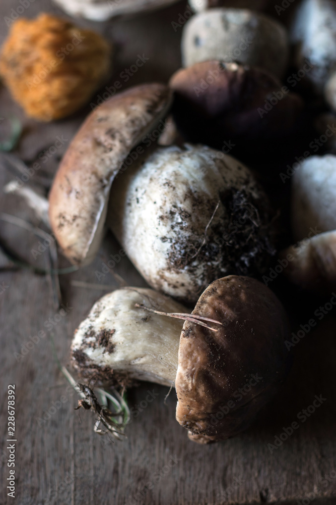 Heap of boletus edulis mushrooms on board Heap of boletus edulis mushrooms on board