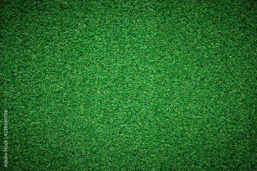 Fototapeta premium Green grass background