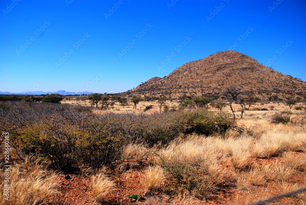 Paesaggio desertico nel Kalahari in Namibia, Africa