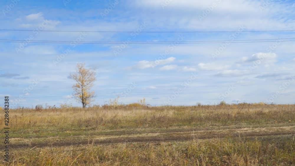 Lonely tree in a field with yellow autumn leaves in the wind. Camera panning Lonely tree in a field with yellow autumn leaves in the wind. Camera panning