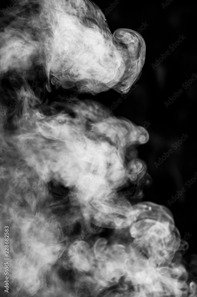 nature smoke from the fire photo nature smoke from the fire photo