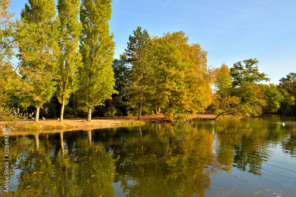 Fototapeta premium autumn in park