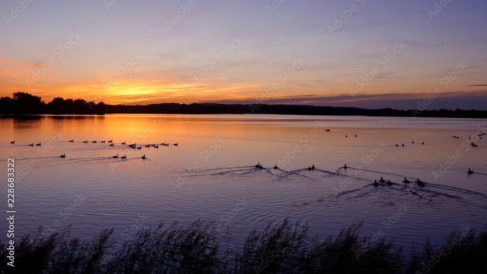 Dramatischer Sonnenuntergang an einem See in Schleswig-Holstein, Deutschland