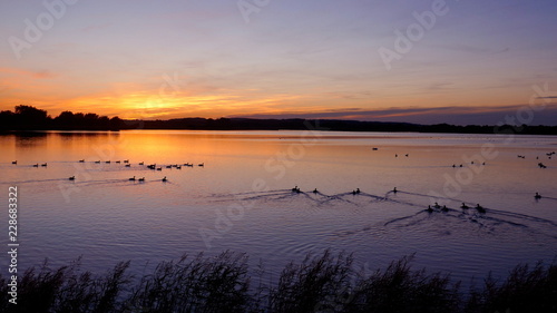 Dramatischer Sonnenuntergang an einem See in Schleswig-Holstein, Deutschland © anela47