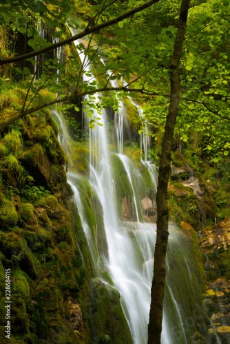 Fototapeta Naklejka Na Ścianę i Meble -  Cascada de agua y vegetación en Asturias, España, Europa