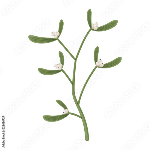 Mistletoe sprig and berries. Vector cartoon Christmas decoration element isolated on a white background.