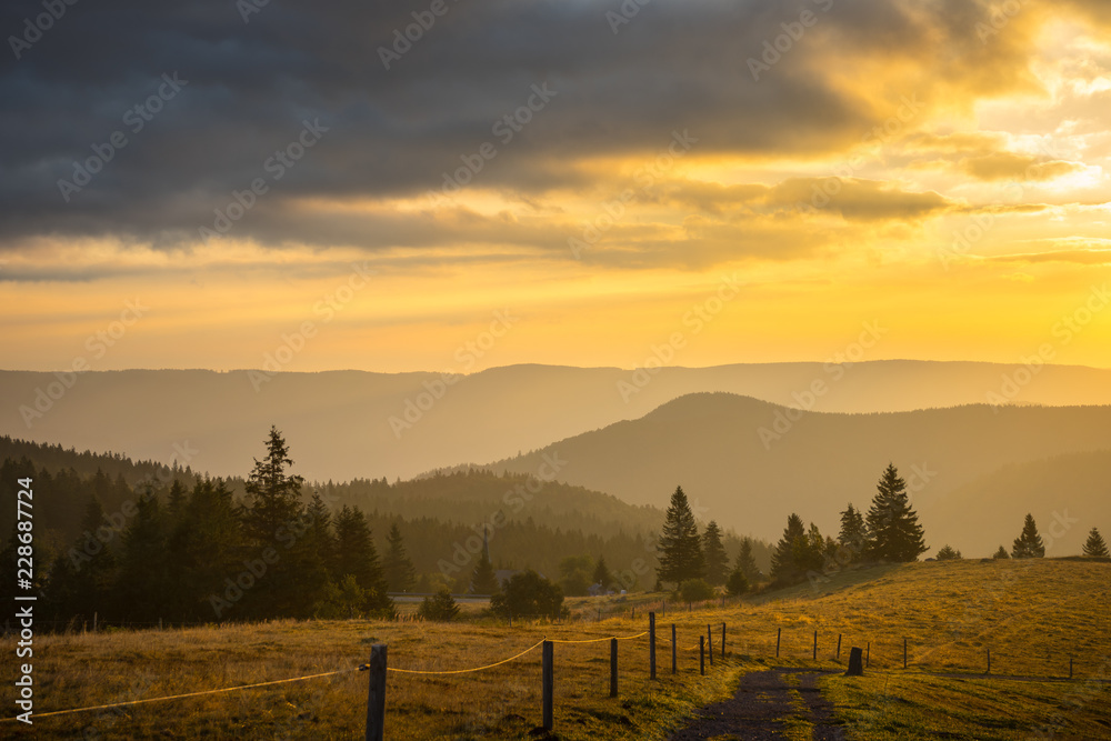 Germany, Hike trail over beautiful black forest nature landscape in the morning