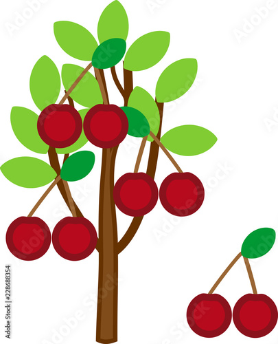Cartoon cherry tree with ripe cherries and green leaves isolated on white background